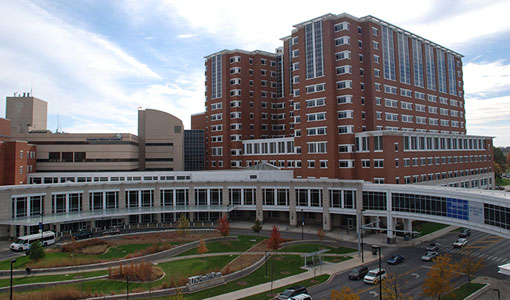Medical View Properties